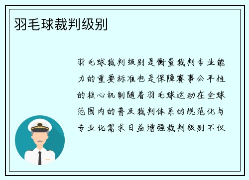 羽毛球裁判级别