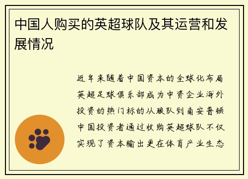 中国人购买的英超球队及其运营和发展情况