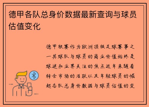 德甲各队总身价数据最新查询与球员估值变化